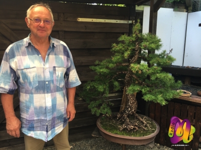 Bonsai B&auml;ume in Pratteln, was steckt hinter dieser Kultur und Tradition